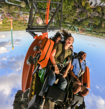Tigris, la montaña rusa más alta de Florida, está en Busch Gardens Tampa Bay
