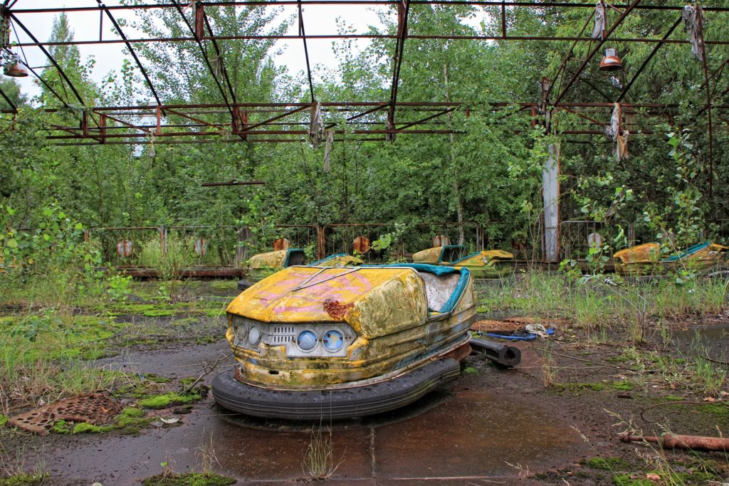 chernobyl que paso, chernobyl perros radioactivos, chernobyl perros, perros salvajes chernobyl, experiencias en línea airbnb, airbnb, 