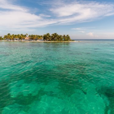 La tecnología logró en Belice lo que en otros países de América Latina no: contener al coronavirus