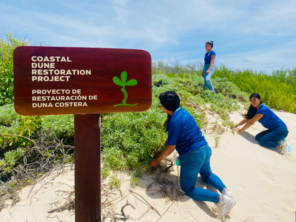iberostar, turismo sostenible, iberostar restauracion de duna, viajero sustentable