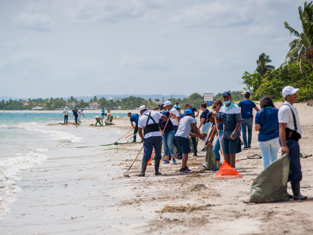 limpieza de playa, dia mundial de los oceanos
