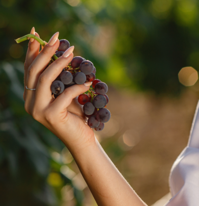 Empoderamiento de las mujeres en la industria del vino en México: Vive el Vino 2023