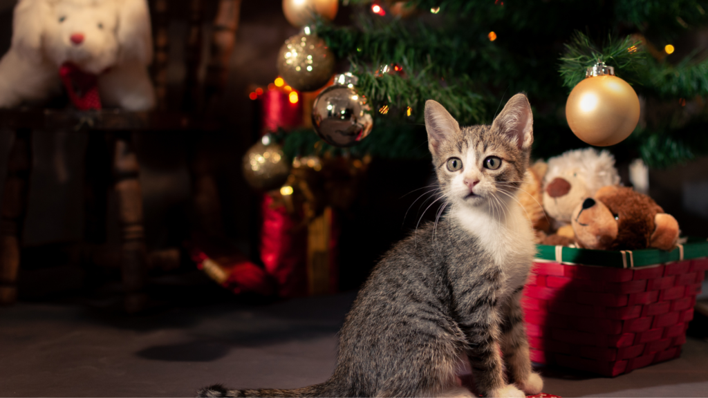 mascotas en navidad tips para cuidarlos