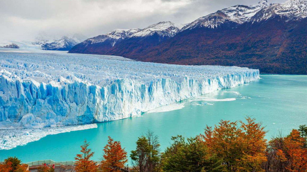 calafate glaciar argentina