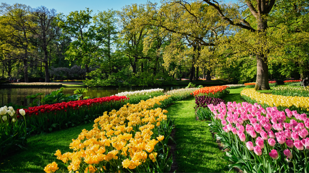 Parque floral Keukenhof en Países Bajos