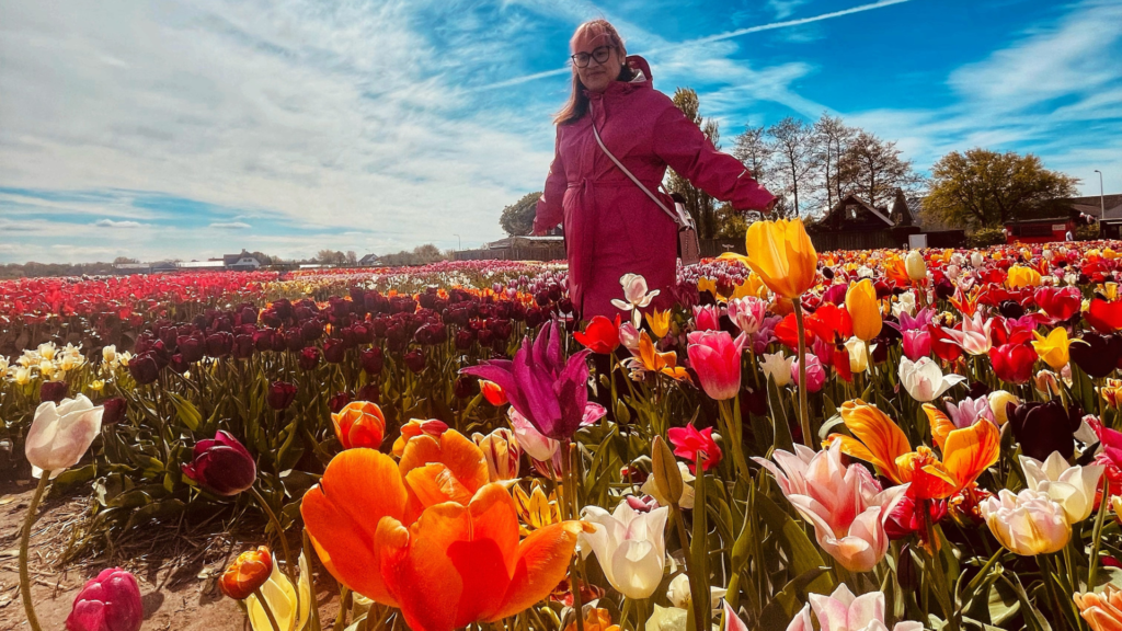 Tulip Experience Amsterdam campos holandeses