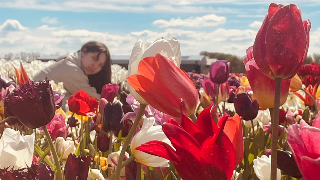 Tulip Experience Amsterdam tulipanes holandeses